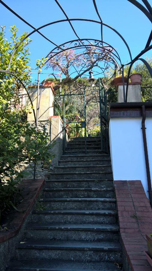 La Depandance Della Nonna Apartment Camogli Exterior foto